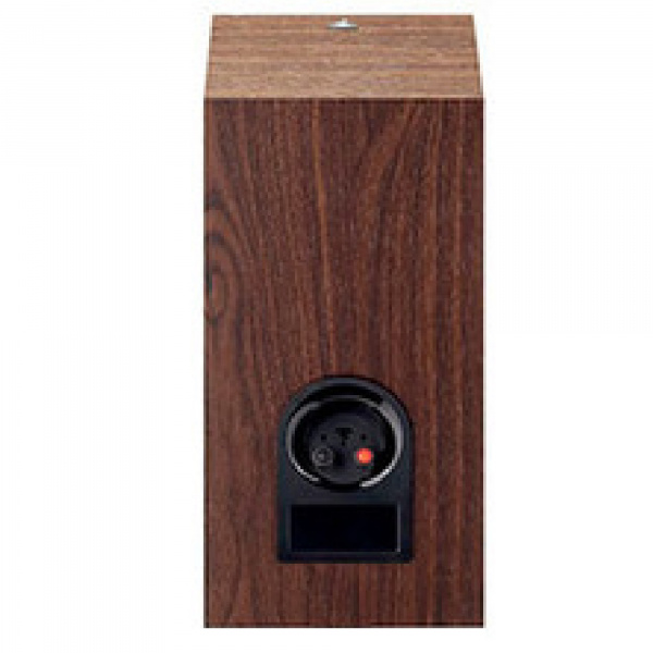 Focal Chora 806 Dark Wood